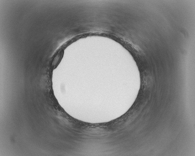 X0000114081256200911161008