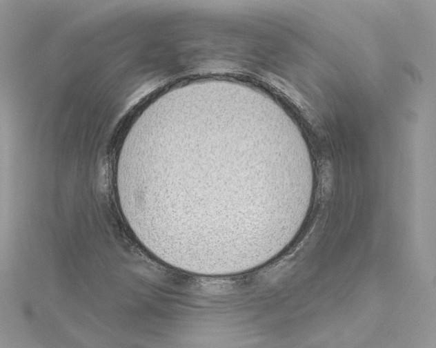 X0000114081258200911161008