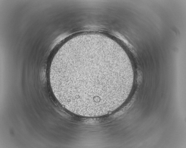 X0000114081259200911161008