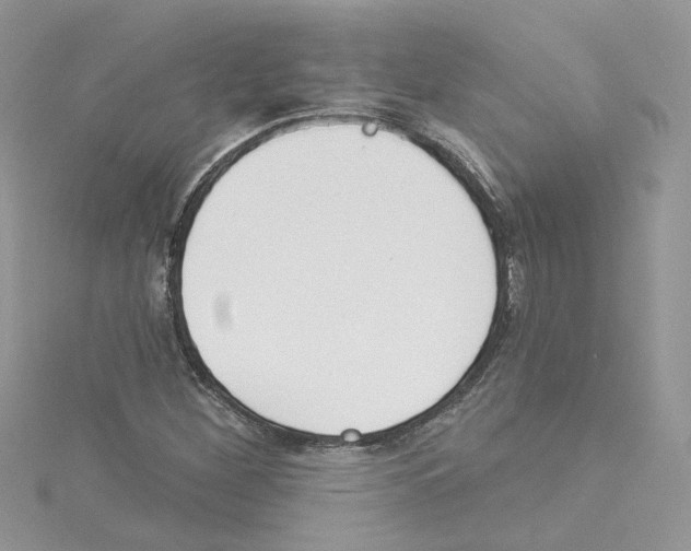 X0000114081260200911161008