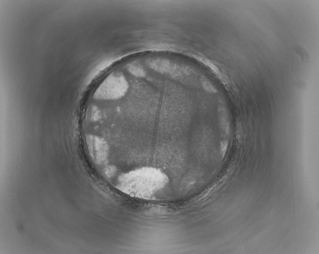 X0000114081263200911161008