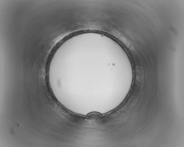 X0000114081264200911161008