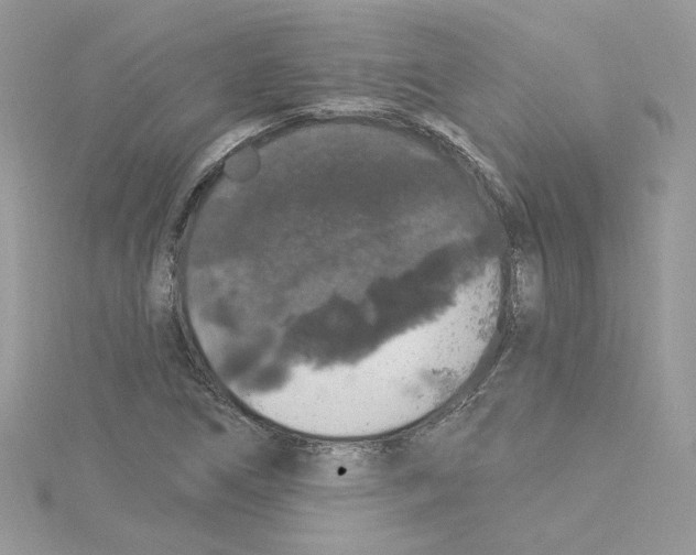 X0000114081266200911161008