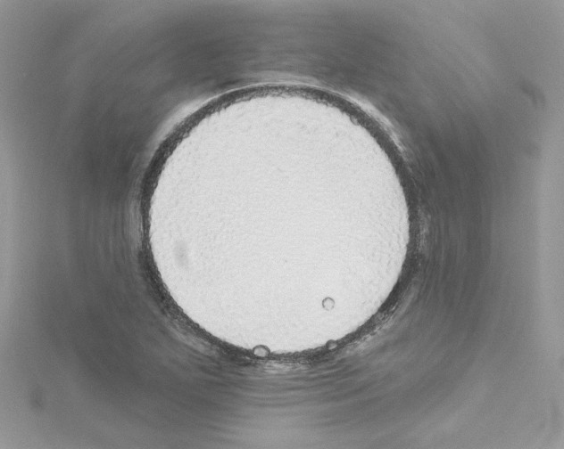 X0000114081271200911161008