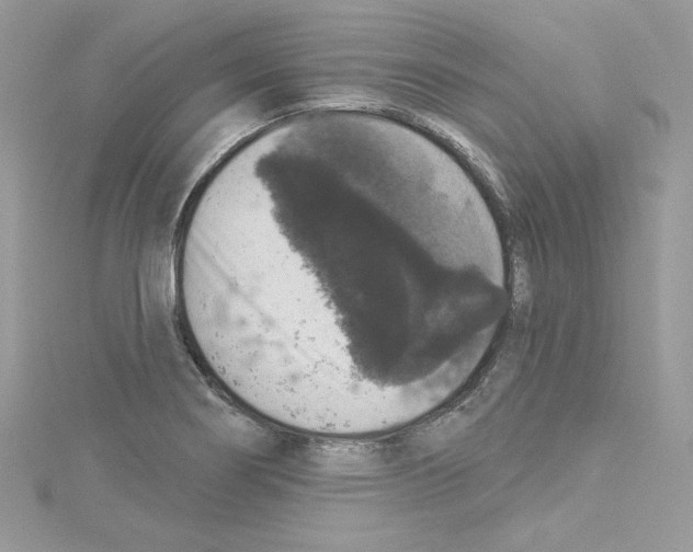 X0000114081274200911161008