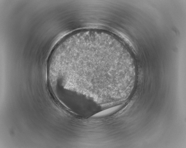 X0000114081275200911161008