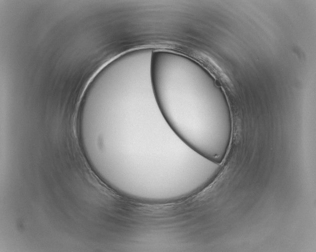 X0000114081276200911161008