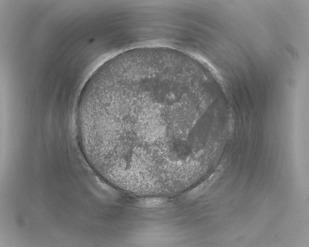 X0000114081278200911161008