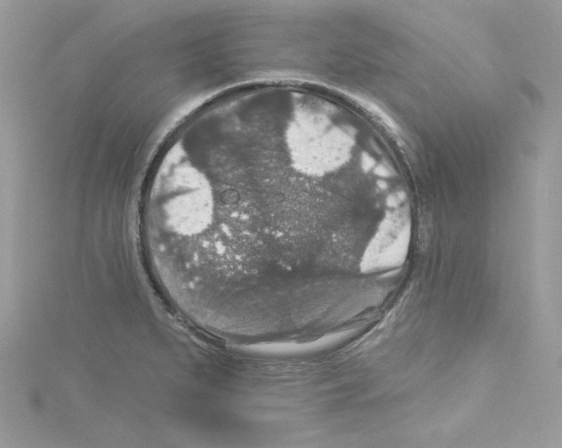 X0000114081279200911161008