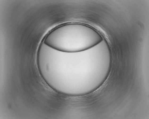 X0000114081280200911161008