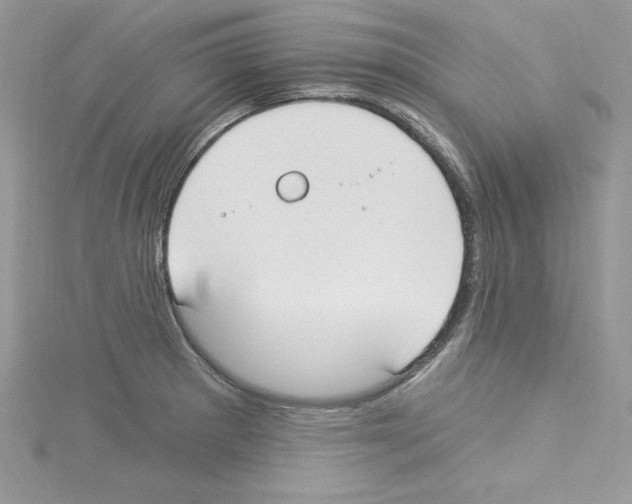 X0000114081281200911161008