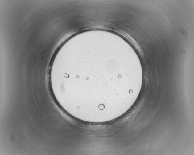 X0000114081285200911161008