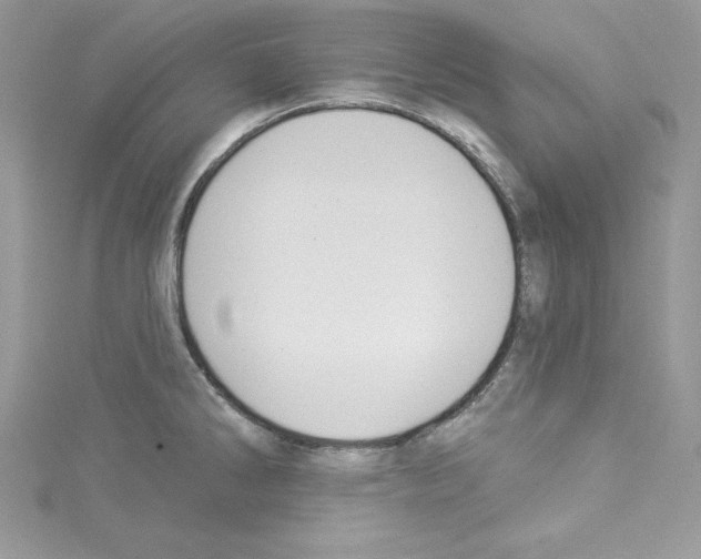 X0000114081286200911161008