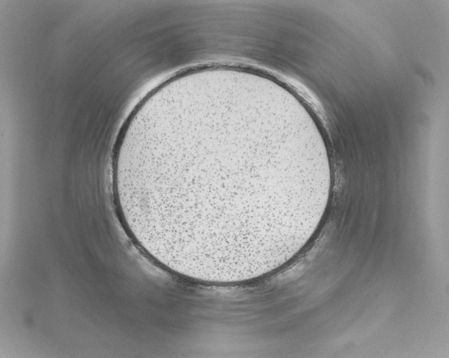 X0000114081287200911161008