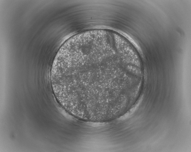 X0000114081289200911161008