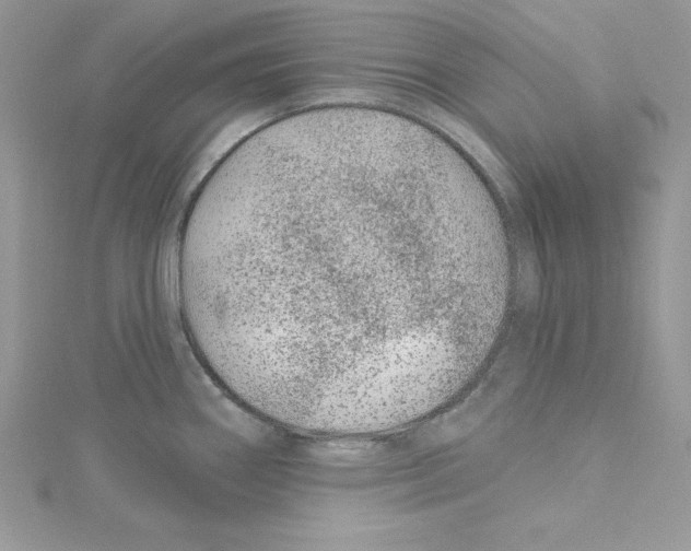 X0000114081290200911161008