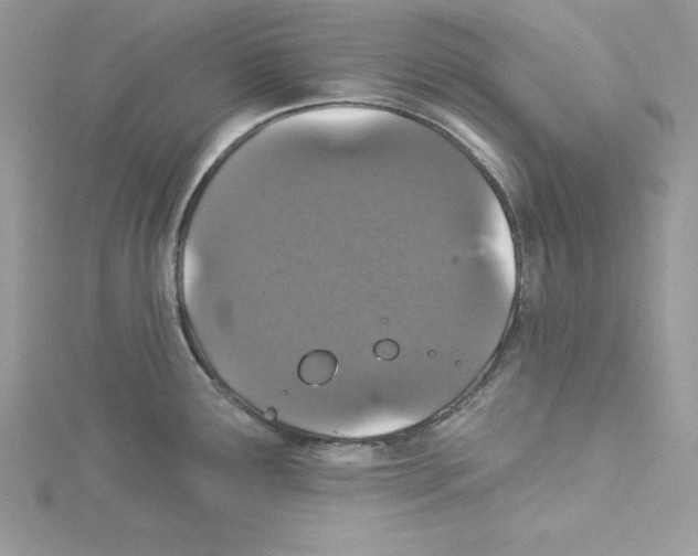 X0000114081291200911161008