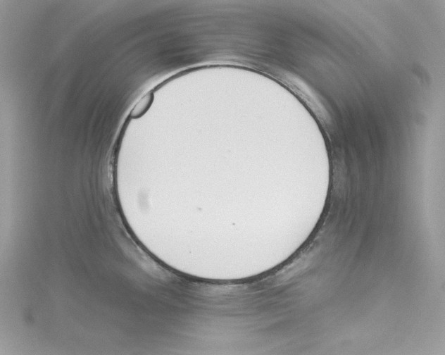 X0000114081292200911161008