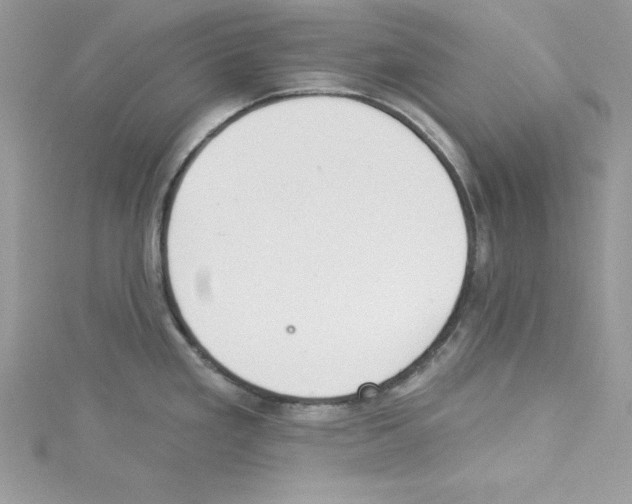 X0000114081293200911161008