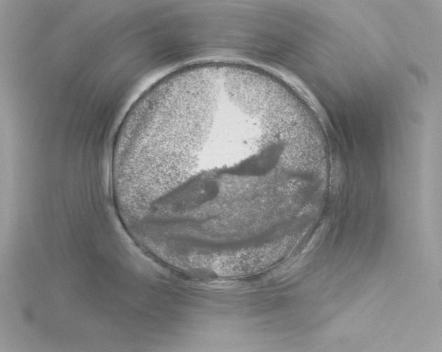 X0000114081295200911161008