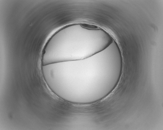 X0000114081296200911161008