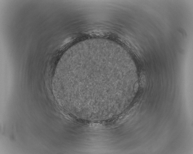 X0000114081297200911161007