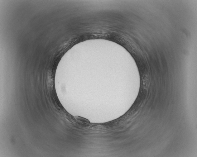 X0000114081298200911161007