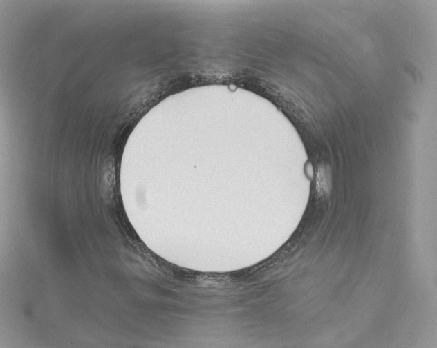 X0000114081299200911161007