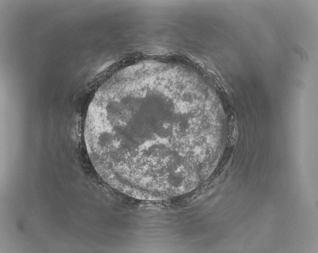 X0000114081301200911161007