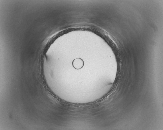 X0000114081304200911161007