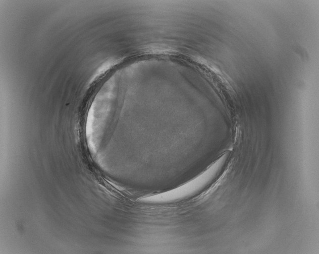 X0000114081306200911161007