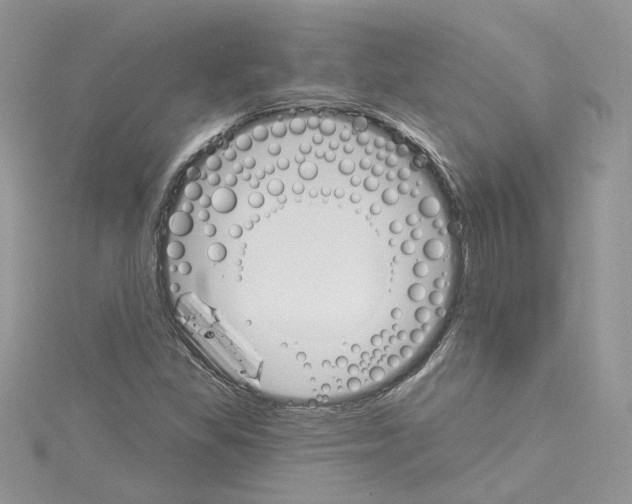 X0000114081309200911161007