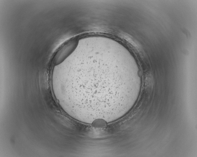 X0000114081310200911161007