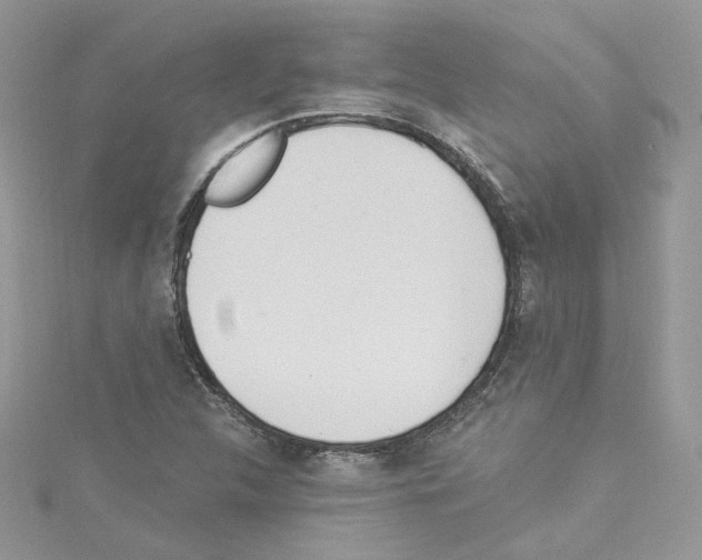 X0000114081312200911161008