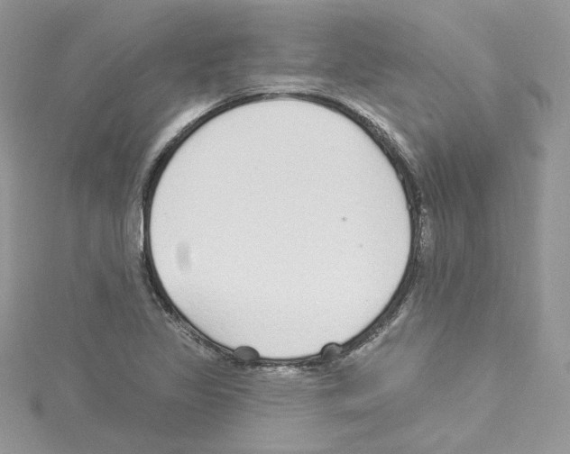 X0000114081317200911161008