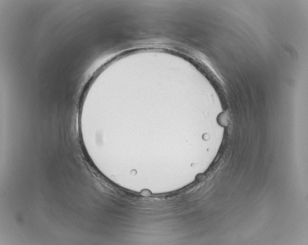 X0000114081320200911161008