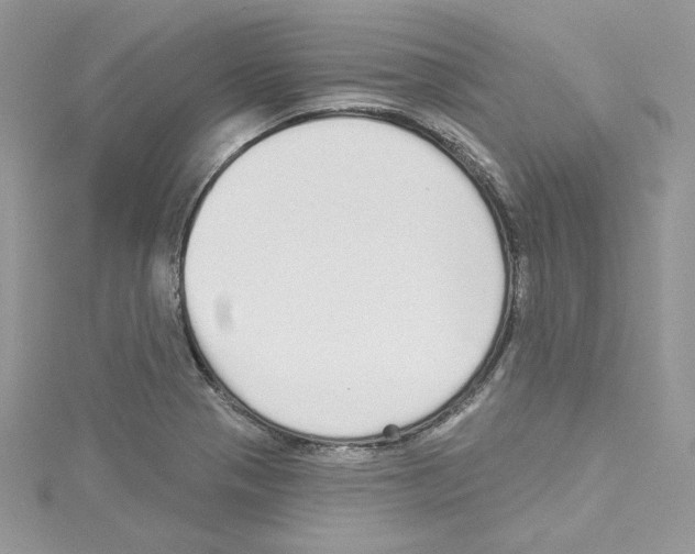 X0000114081321200911161008