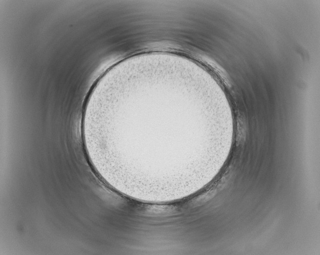 X0000114081322200911161008