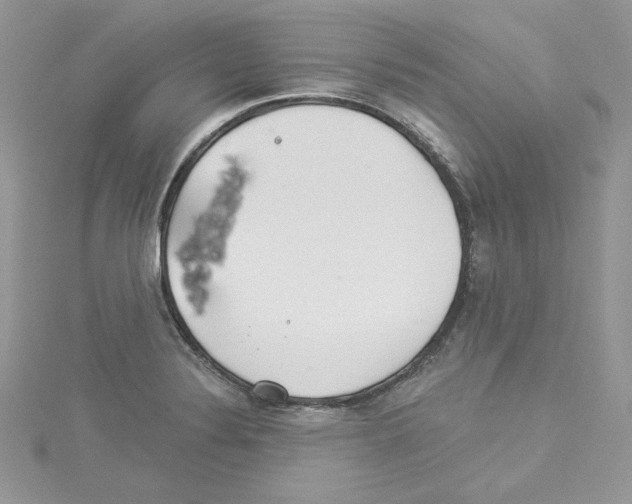 X0000114081324200911161008