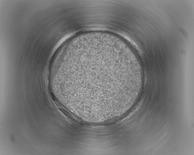 X0000114081325200911161008