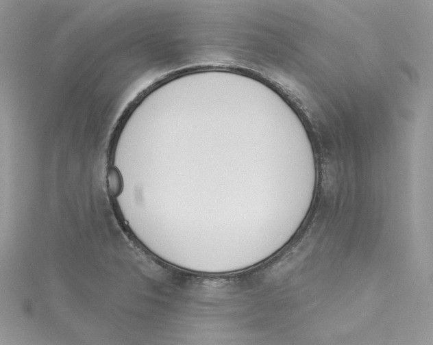 X0000114081326200911161008