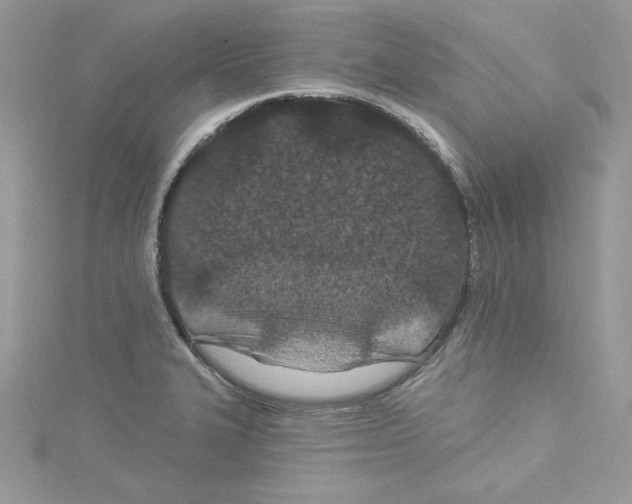 X0000114081327200911161008