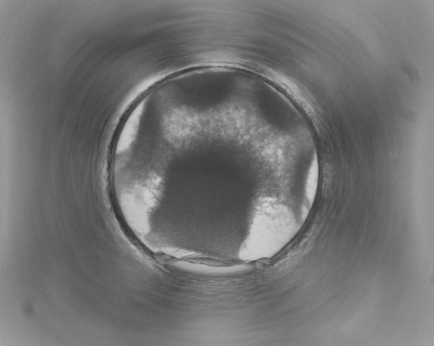 X0000114081331200911161008