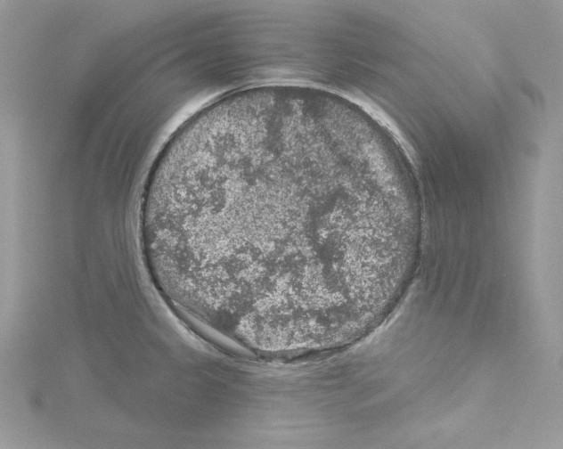 X0000114081333200911161008