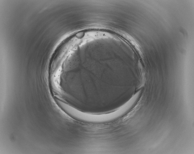 X0000114081334200911161008