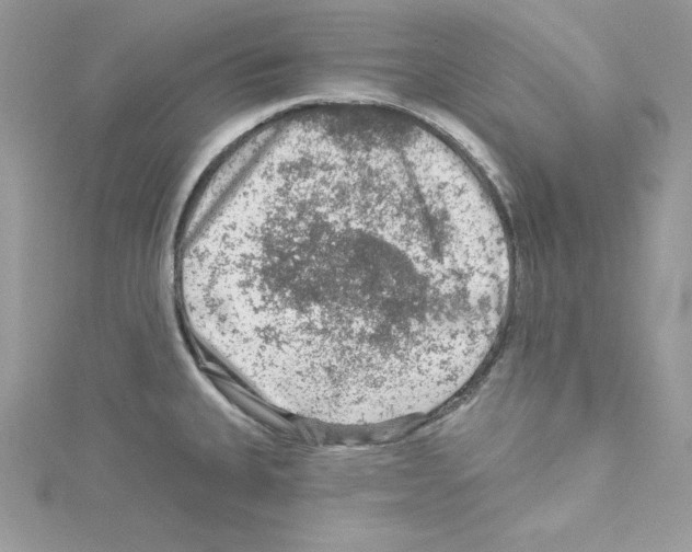 X0000114081335200911161008