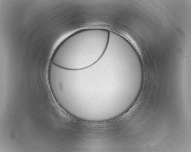 X0000114081336200911161008