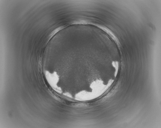 X0000114081337200911161008