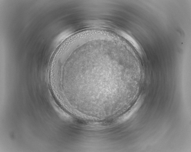 X0000114081338200911161008