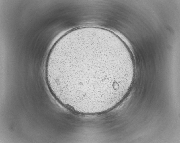 X0000114081341200911161008